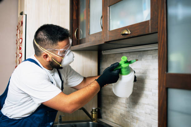 Best Residential Pest Control  in Garfield Heights, OH