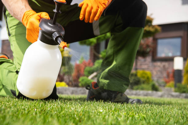 Best Bed Bug Extermination  in Garfield Heights, OH