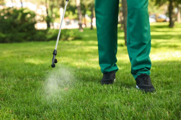 Best Pest Inspection Near Me  in Garfield Heights, OH