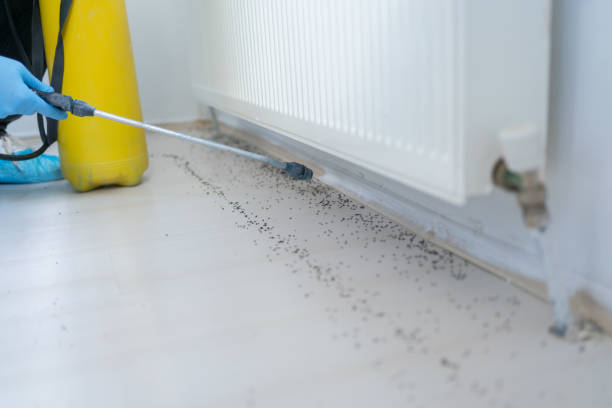 Best Bed Bug Extermination  in Garfield Heights, OH